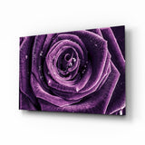 Purple Rose Glass Wall Art.