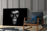 Gorilla Glass Wall Art.