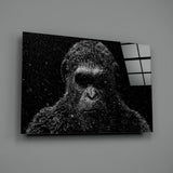 Gorilla Glass Wall Art.