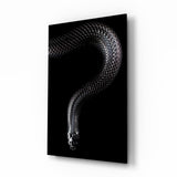 Silver Scaled Snake Descending Dark Glass Wall Art - 72x46 cm