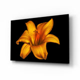Goldorange Lilie auf Schwarz Glasbild - 72x46 cm
