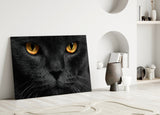 Cat Glass Wall Art.
