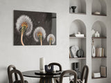 Dandelions Glass Wall Art.