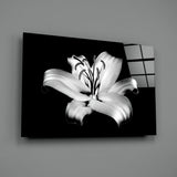 Lilies Glass Wall Art.