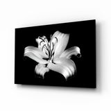 Gigli – quadro su vetro - 72x46 cm