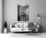 Leopard Glass Wall Art.