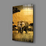 Elephant Glass Wall Art.