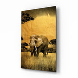 Savane dorée à l'acacia et éléphant tableau en verre - 72x46 cm