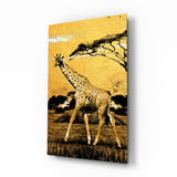 Giraffe Glasbild