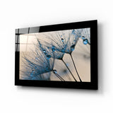 Blue Dew Drops on Dandelion Seeds Glass Wall Art - 72x46 cm