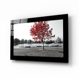 Arbre rouge Impression Sur Verre
