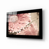 Gänseblümchen in Altrosa-Vintage-Ton Glasbild - 72x46 cm