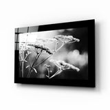 Quadro in vetro Sboccio - 72x46 cm