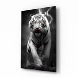 Tiger's Wrath Glass Wall Art || Designer Collection.