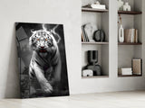 Tiger's Wrath Glass Wall Art || Designer Collection.