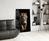 Tiger in the Dog Glass Wall Art|| Designer's Collection.