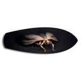 Dark Horned Creature Fantasy Glass Wall Art.