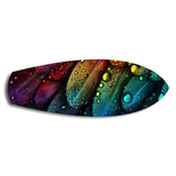 Rainbow Feather Macro Glass Wall Art