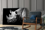 Rhino Glass Wall Art.