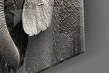 Elephants Glass Wall Art.