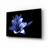 Glowing Blue Lily on Black Glass Wall Art - 72x46 cm