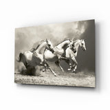 Tres Caballos Grises Corriendo en Sepia cuadro de cristal - 72x46 cm