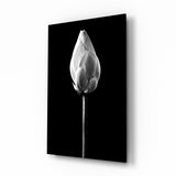 Capullo de Loto Monocromático cuadro de cristal - 72x46 cm