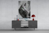 Cat Glass Wall Art.