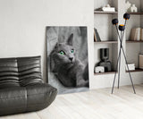 Cat Glass Wall Art.