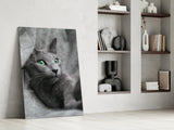 Cat Glass Wall Art.