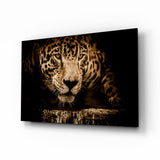Goldener Leopard am Wasserloch Glasbild - 72x46 cm