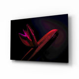 Karmesinrote Blütenknospe Dunkles Makro Glasbild - 72x46 cm