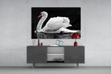 Swan Glass Wall Art.