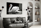 Swan Glass Wall Art.