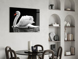 Swan Glass Wall Art.