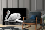 Swan Glass Wall Art.