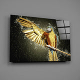 Parrot Glass Wall Art.