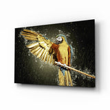 Goldener Ara Wasserspritzer Glasbild - 72x46 cm
