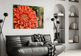 Orange Gerbera Glass Wall Art.