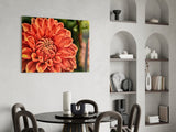 Orange Gerbera Glass Wall Art.