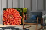 Orange Gerbera Glass Wall Art.