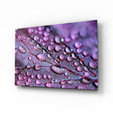 Gocce di Rugiada Viola su Foglia quadro in vetro - 72x46 cm
