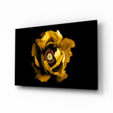 Fiore Peonia Gialla Centro Cremisi quadro in vetro - 72x46 cm