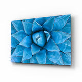 Blue Agave Succulent Rosette Glass Wall Art - 72x46 cm