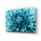 Gros Plan Pétale de Dahlia Turquoise tableau en verre - 72x46 cm
