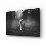 Lupo della Foresta Nebbiosa quadro in vetro - 72x46 cm