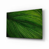 Green Leaf Glass Wall Art.