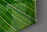 Green Leaf Glass Wall Art.