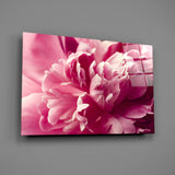 Pink Flower Glass Wall Art.