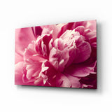 Hot Pink Peony Petal Macro Flower Glass Wall Art - 72x46 cm